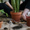 Silberne Gartenhacke Aus Eisen Handgerät Für Unkrautentfernung 6