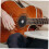Guitar Humidifier Hygrometer Combo for Acoustic Sound Hole, Dual Function Humidity Control Protector 4