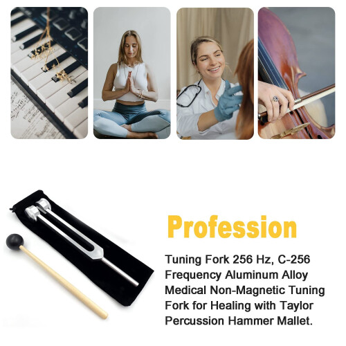 Aluminum Alloy Tuning Fork 256 Hz 256 C with Hammers 2