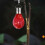 2 Count Solar Camping Light Long-Lasting Led Bulb 4