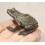 Brass Frog Animal Statue Small Tabletop Figurine 4