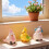 Resin Panda Mini Statue Garden Decor 8 Pieces 2