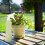 2St Tuinsproeier Pvc+pp Voor En Huis, Nordic Style 6