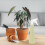 2St Tuinsproeier Pvc+pp Voor En Huis, Nordic Style 7