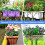 eisen pflanzenständer hängender blumenkasten 6
