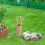 1Ensemble Outils De Jardin Bamboo Khaki Zen Décor Maison Bureau 4
