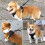 No Pull Dog Harness Front Clip Heavy Duty Reflective Easy Control Handle for Large Dog Walking(Black,M) 8