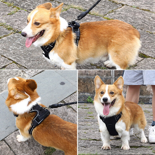 No Pull Dog Harness Front Clip Heavy Duty Reflective Easy Control Handle for Large Dog Walking(Black,L) 1