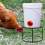 Chicken Feed Dispenser Stand Outdoor Black 2