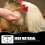 Chicken Feed Dispenser Stand Outdoor Black 7