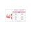 Lingerie Women Lace Front Button Shaping Cup Adjustable Shoulder Strap Large Size Underwire Bras 2