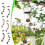 Hummingbird Feeder Wind Chime Waterproof Squirrel Proof 6