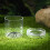 boîte d'observation pour insectes avec loupe 12 pièces 9