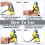 Bird Harness Leash for Small Parrots and Cockatiels 5