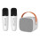 Mini Karaoke Machine with 2 Wireless Microphones 7