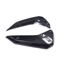 Motorcycle Accessories Carbon Fiber Radiator Cover for R1300GS R 1300 GS 2024+