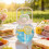 Gourde Bunny 33 oz, gobelet étanche avec poignée et 6