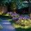 Solar Garden Light Stake with Sensor 20 LED Warm White 5