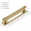 Cabinet Pull Backplates Brushed Gold 5-Pack 2