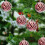 Boules de Noël incassables, lot de 6, 6 cm (2,36 pouces) 4