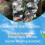 Automatic Plant Moisturization Clay Stake 27.5cm Tall Auto 5