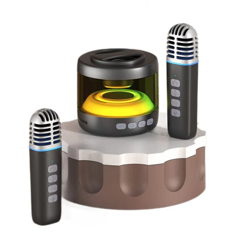 Magnetische Karaoke -Microfoonluidspreker voor Thuisgebruik, Zwart 1