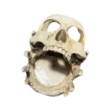 Gothic Skull Resin Rings Holder With Multifunctional Use As