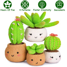 Succulent Knitting Pattern Book for Beginners