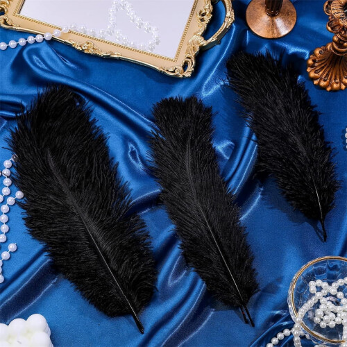 Black Ostrich Feathers Pack 20 pcs 8-10 inch for Home 2