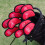10Pcs/Pack Meshy Golf Iron Covers set includes 10pcs: 3,,,,7,8,9.P,S,A It only -sided number worked for right hand - red 6