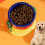 Adjustable Dog Bowl Stand with Multi-Level Height, Base & Bright Colors 2