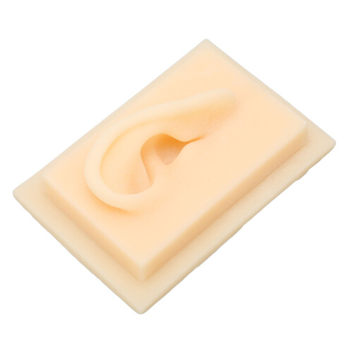Ear, Glossy Texture Safe Practical Comfortable Soft Silicone Ear Vivid Shape Light Weight For Teaching Demonstration Left Ear 2