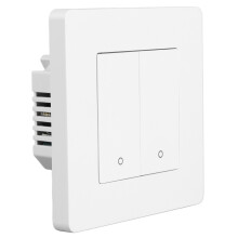 Interruttore intelligente Zigbee a 2 pulsanti bianco con temporizzazione e regolazione della luminosità AC100-240V