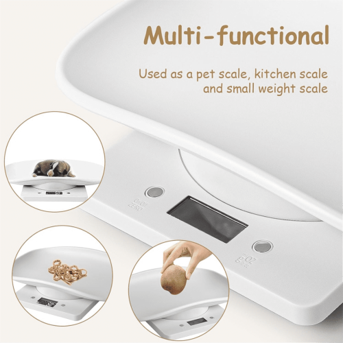 1 * pet scale-White 2