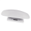 1 * pet scale-White 6