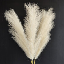 TETOU4Stems Faux Herbe de la Pampa 110 cm de haut, grande herbe ornementale pour vase, décoration bohème - Beige