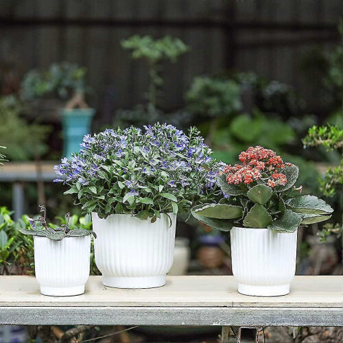 Plastic Self Watering Planter. Long Term Water Storage Plant Pot 2