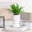 (Pure White) Hydroponic Plastic Vase, Stylish Water-saving Planter 1