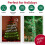 Christmas Mini String Lights 100 LED Purple Orange 4