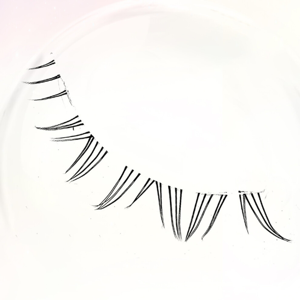 Roc-Electron Asian False Eyelashes For Daily & Special Occasions