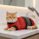 Cat Bathing Bag Mesh Adjustable Anti-Scratch Washing Bag Red 4