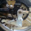 Motorcycle Kickstand Spring Metal Bracket 3 pcs 4