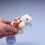 Plush Turtle Stuffed Animal Keychain 1pc 6
