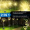 Solar Firework Meteor Lights 2 Pack Warm White 112 LED 3