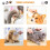 Pet Steel Comb Rounded Ends Small 2 Pack 6