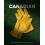 Heavy Duty Leather Work Gloves Water-Resistant Cowhide 8