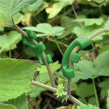 144 Pcs 90 Degree Plant Trainer for Low Stress Training Bending Clips LST Clips for Plant Trellis Growth Kits