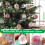 25pcs Clear Fillable Plastic Baubles 3–7cm 4