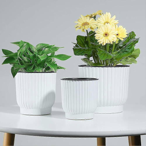 Plastic Self Watering Planter. Long Term Water Storage Plant Pot 1