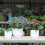 Plastic Self Watering Planter. Long Term Water Storage Plant Pot 3